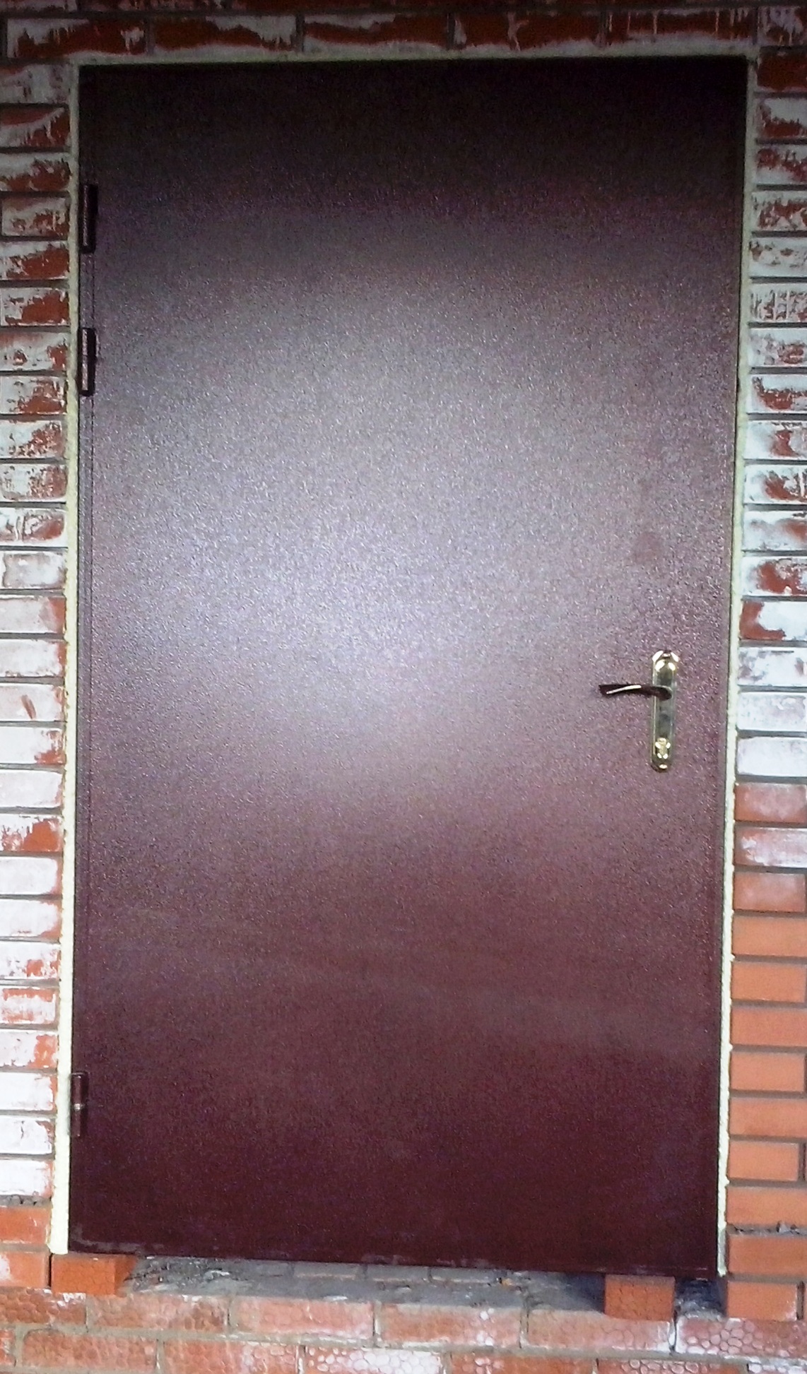 Дверь металлическая входная 